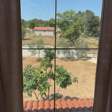 Διαμέρισμα In Ruhiger Lage *